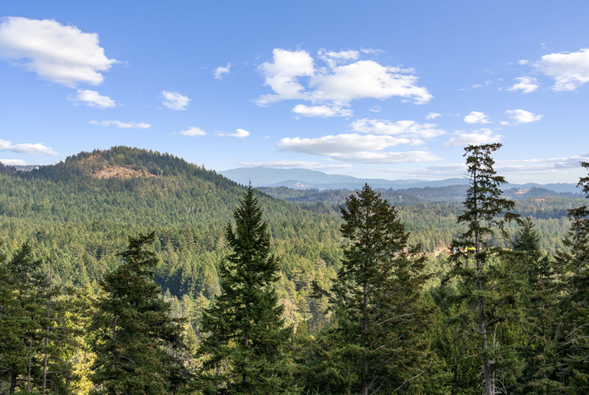 1110-2000 Hannington Rd, Bear Mountain