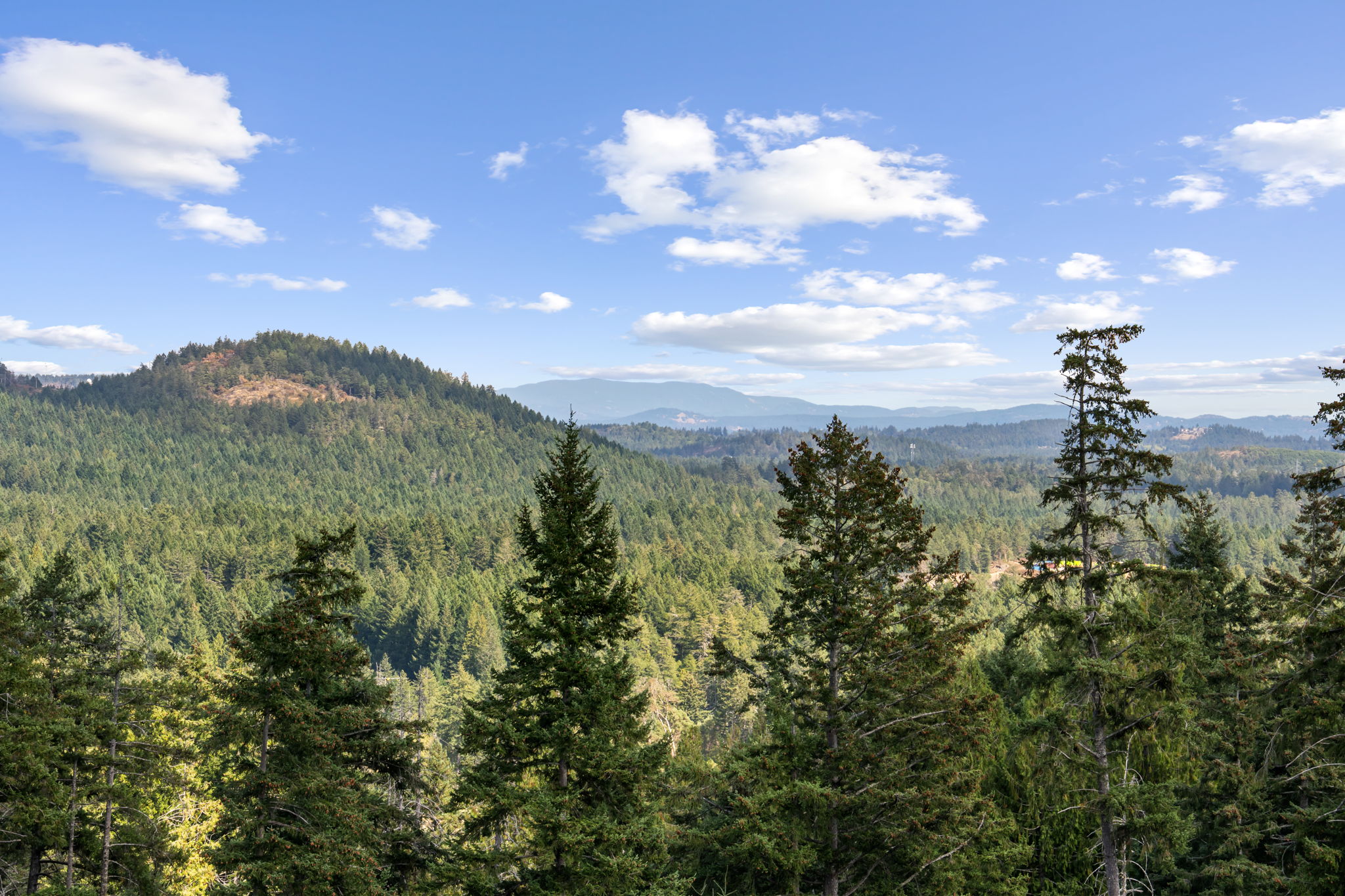 23-web-or-mls-2000 Hannington Rd 1110_23 1110-2000 Hannington Rd, Bear Mountain